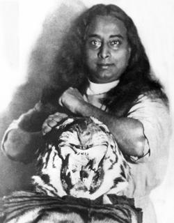 Yogananda_Tiger